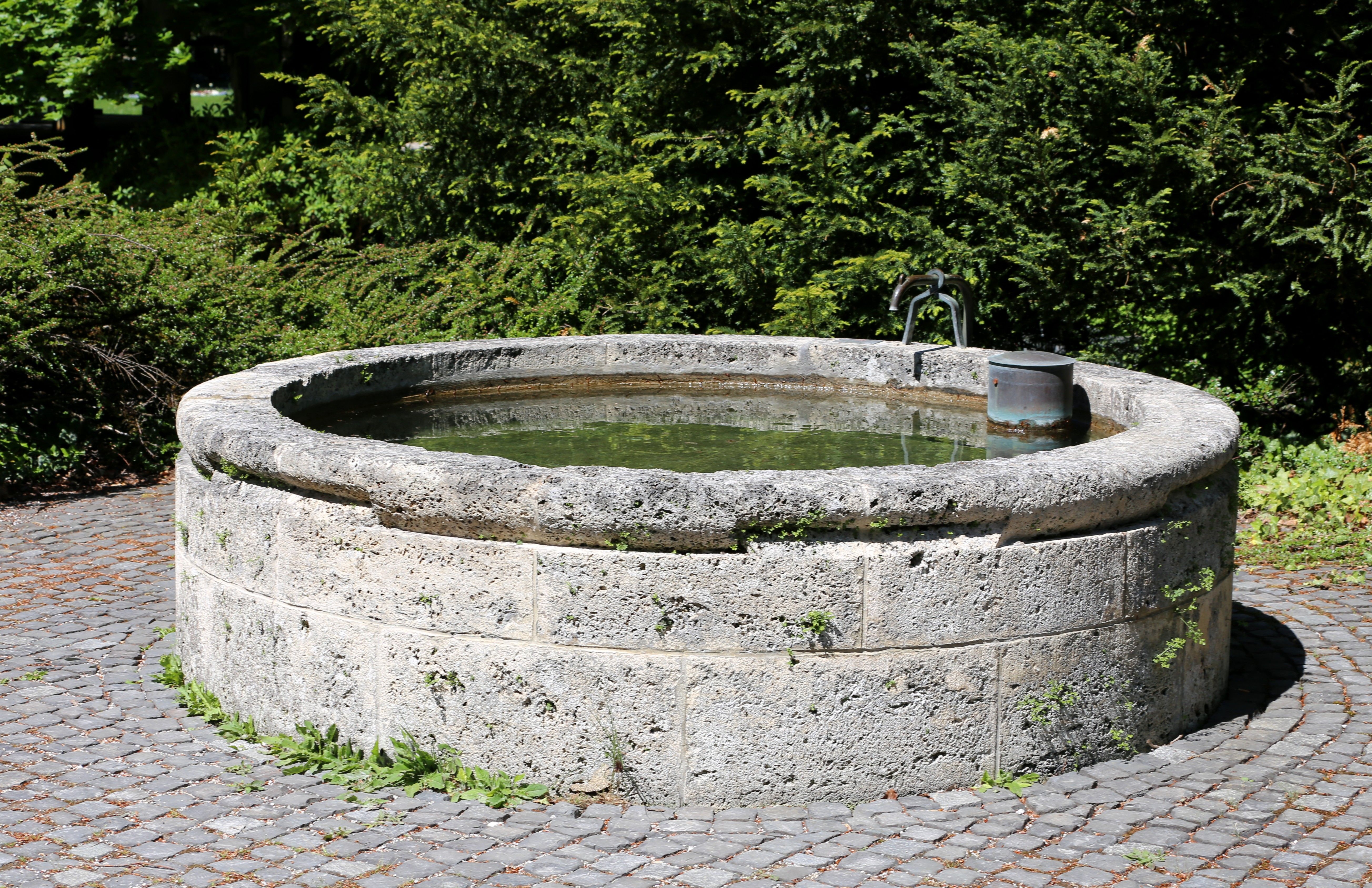 Rundes Steinbecken eines Brunnens im Ostfriedhof München