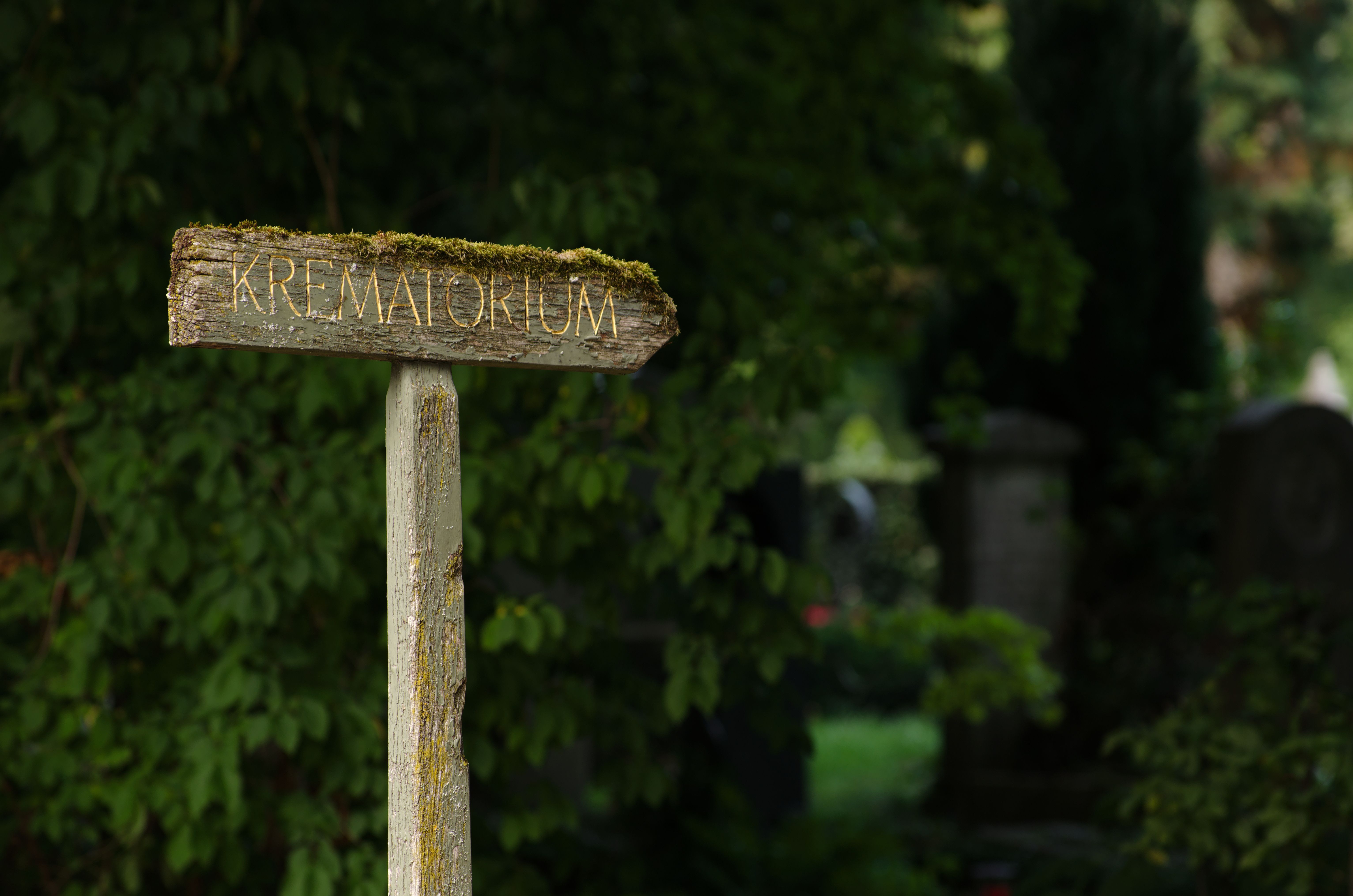 Hölzerner Wegweiser zum Krematorium zwischen Bäumen und Grabstätten des Ostfriedhofs München